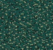 Ковролин Balsan Zenith Roll 246 фото 1 | FLOORDEALER